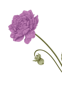 Group (12)