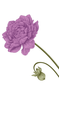 Group (12)